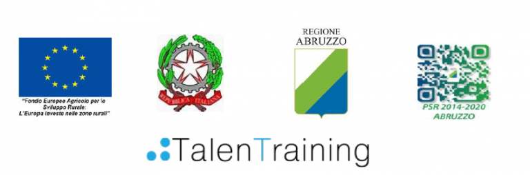 Talentraining