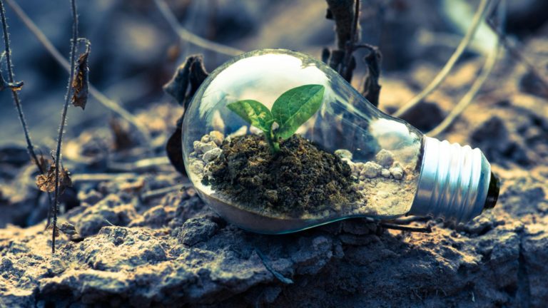 Fondimpresa: Avviso 4/2023 - Formazione a sostegno della Green Transition e della Circular Economy 1 transizioneverde