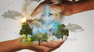 mysticsartdesign natural reserve 480985 1920